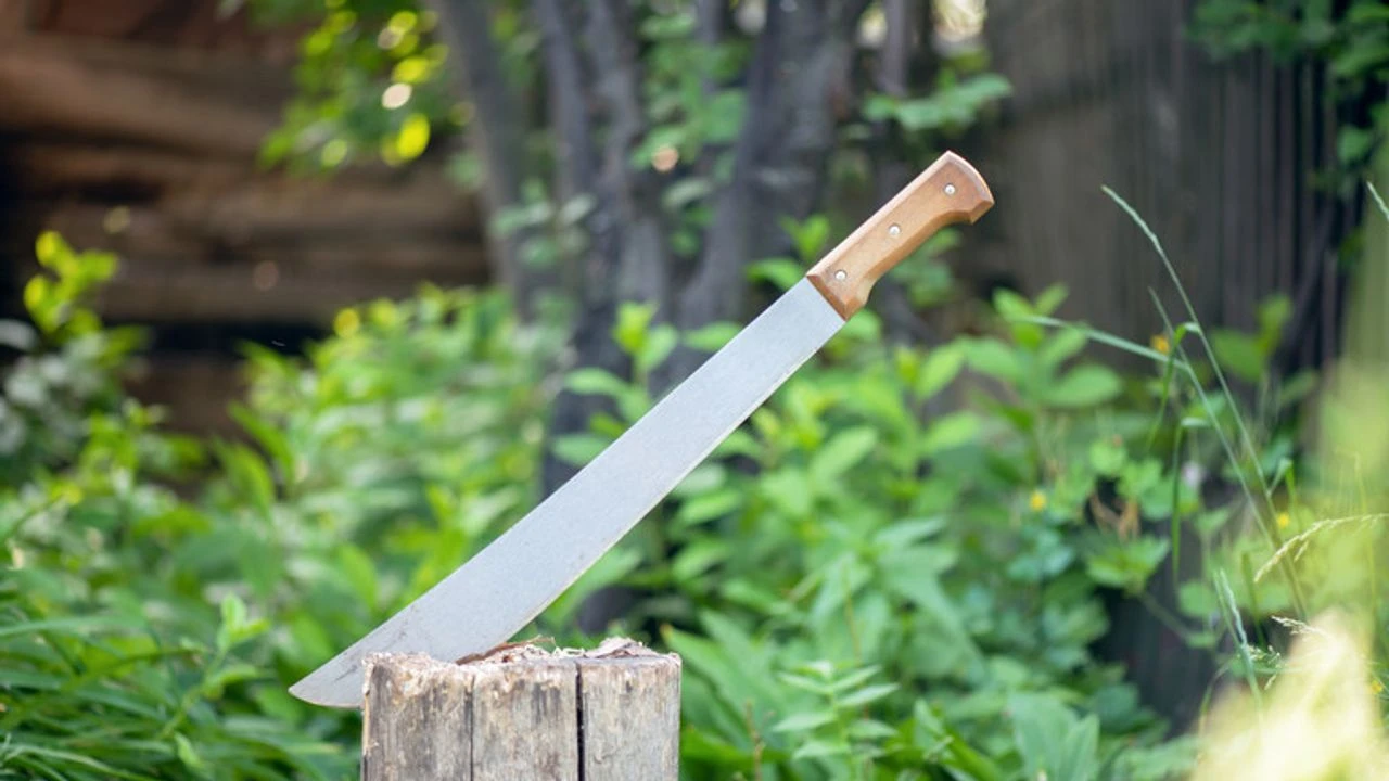 Pala yasağı: Teslim etmeyene 2 yıl hapis