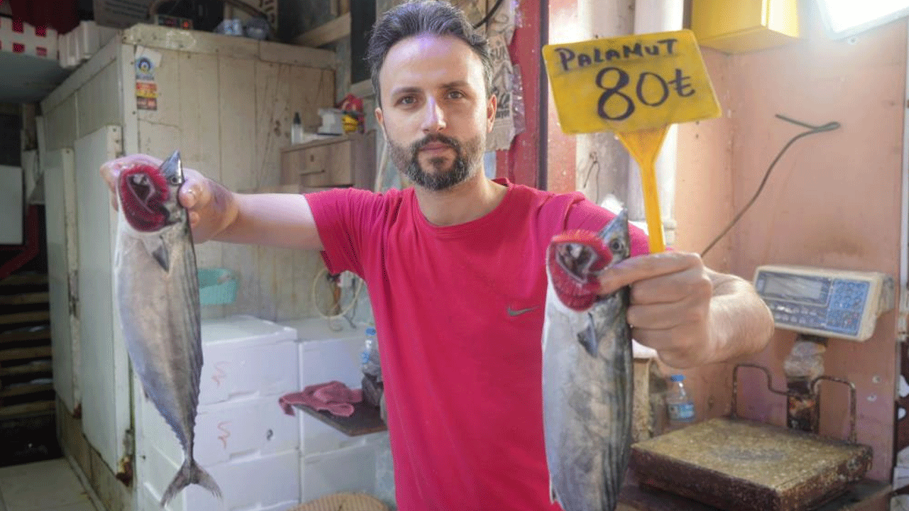 Palamudun fiyatı neredeyse yarı yarıya düştü