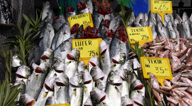 Palamudun ücreti 35 lira oldu