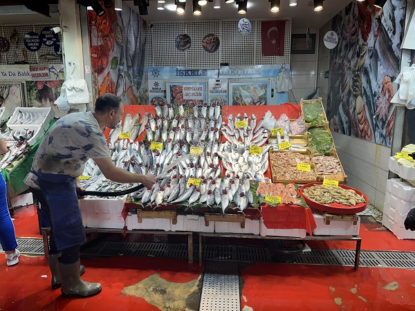 Palamut bolluğu fiyata yansıdı