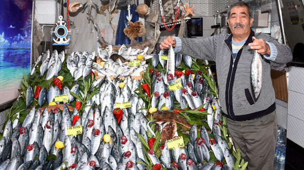 Palamut fiyatları ucuzladı