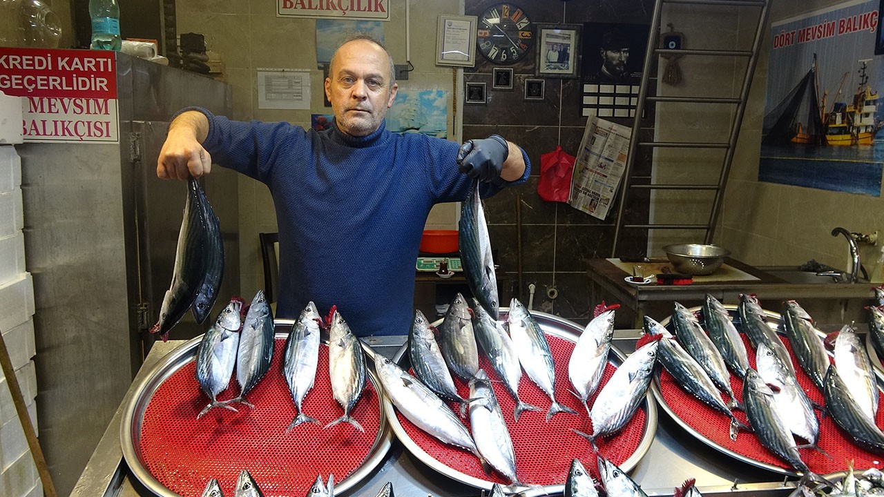 Palamut fiyatları tüm hızıyla yükselmeye devam ediyor