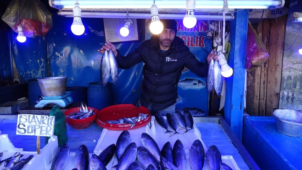 Palamuta benzerliğiyle satılan ’tombik’ balığı dikkat çekiyor 