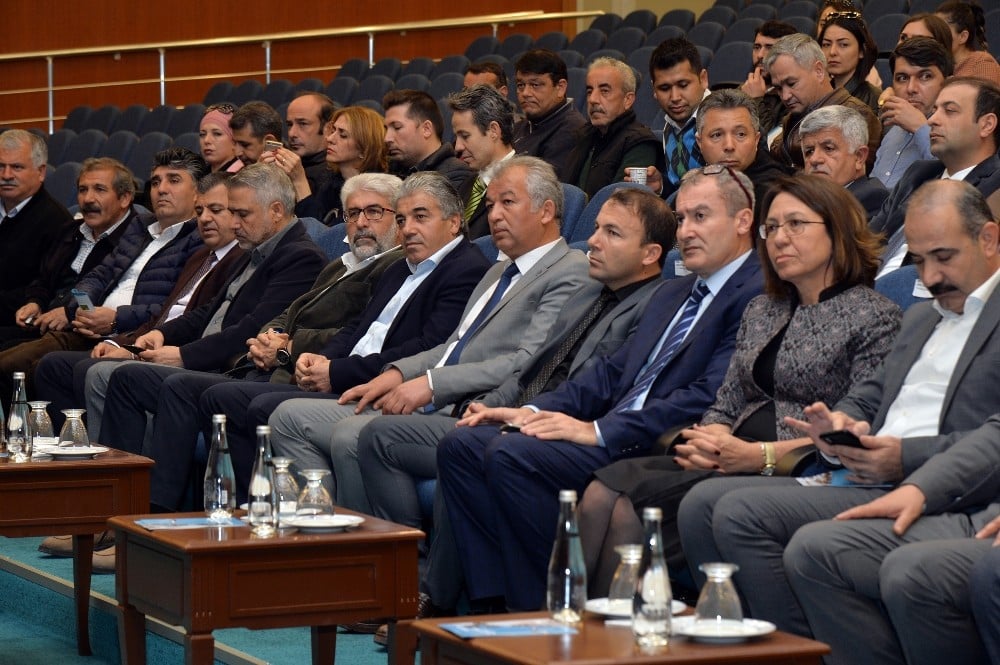 Palmiye kırmızı böceği ile ortak mücadele toplantısı yapıldı 