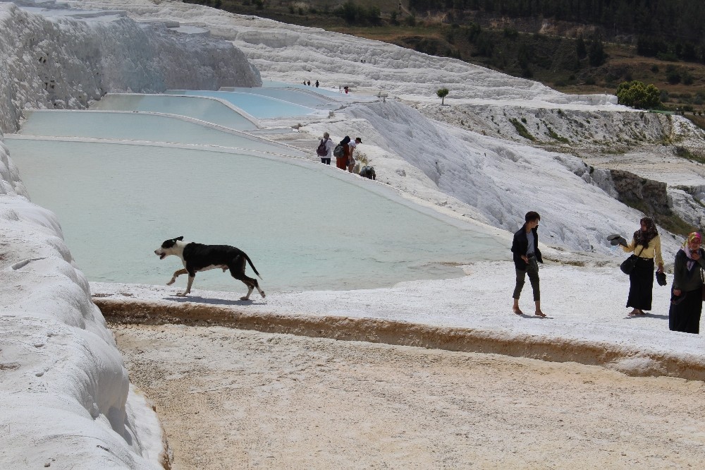 Pamukkale’yi bir haftada 2 bin kişi ziyaret etti 