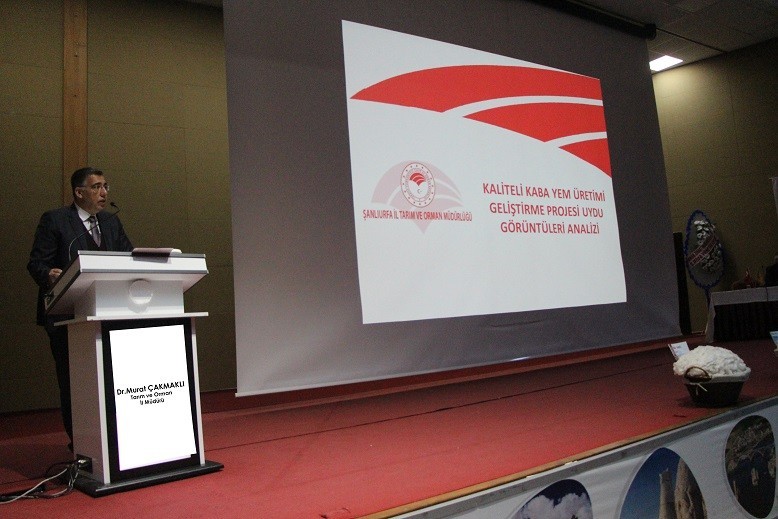 Pamukta verim düşüklüğünün nedenleri tartışıldı 
