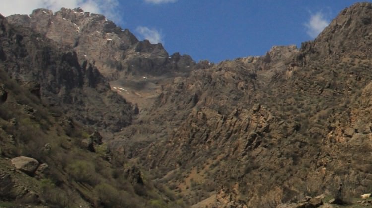 Pancar toplarken uçurumdan yuvarlandı