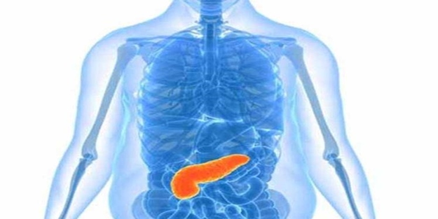 Pankreas kanserinin 10 belirtisi