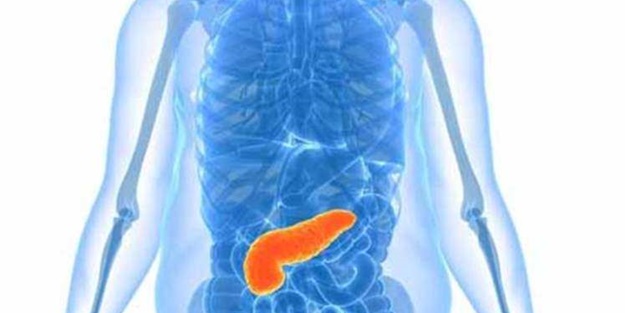 Pankreas kanserinin 10 belirtisi