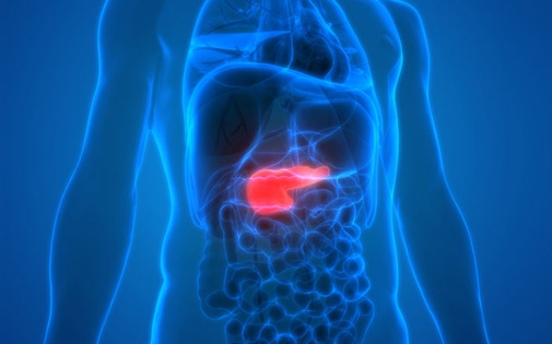 Pankreasınızı korumak için şeker ve yağı fazla tüketmeyin