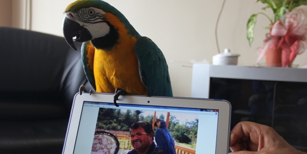 22 yıldır Özal'ı unutmadı