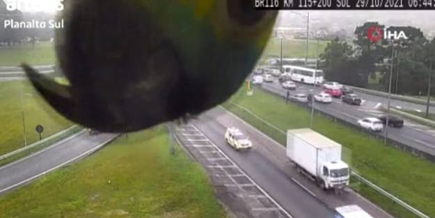 Papağanın güvenlik kamerasıyla oyunu sosyal medyada viral oldu!