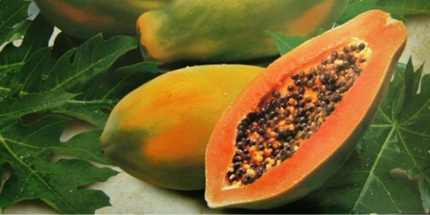 Papaya felçten koruyor!