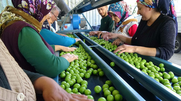 Papaz eriği herkesi memnun etti