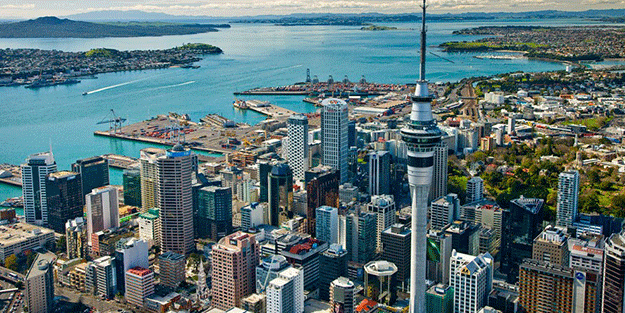 'Parası neyse verelim şehri terk edin'