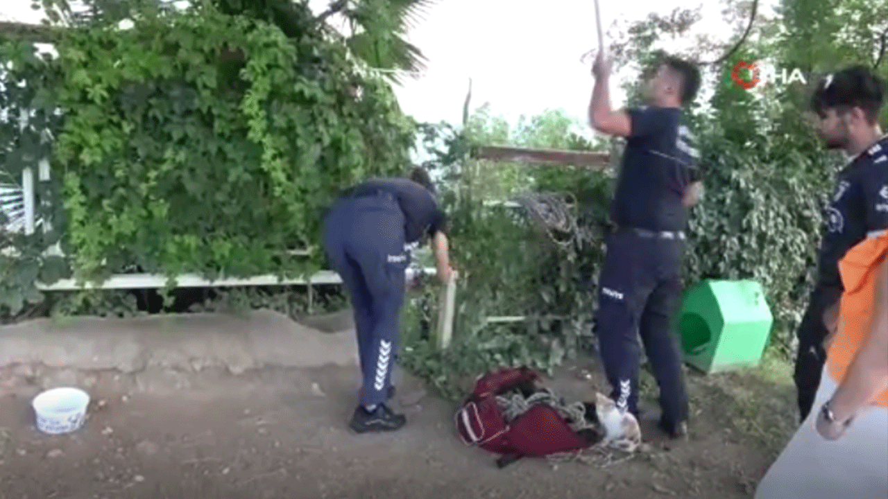 Paraşüt ağaçta asılı kaldı, ekipler alarma geçti