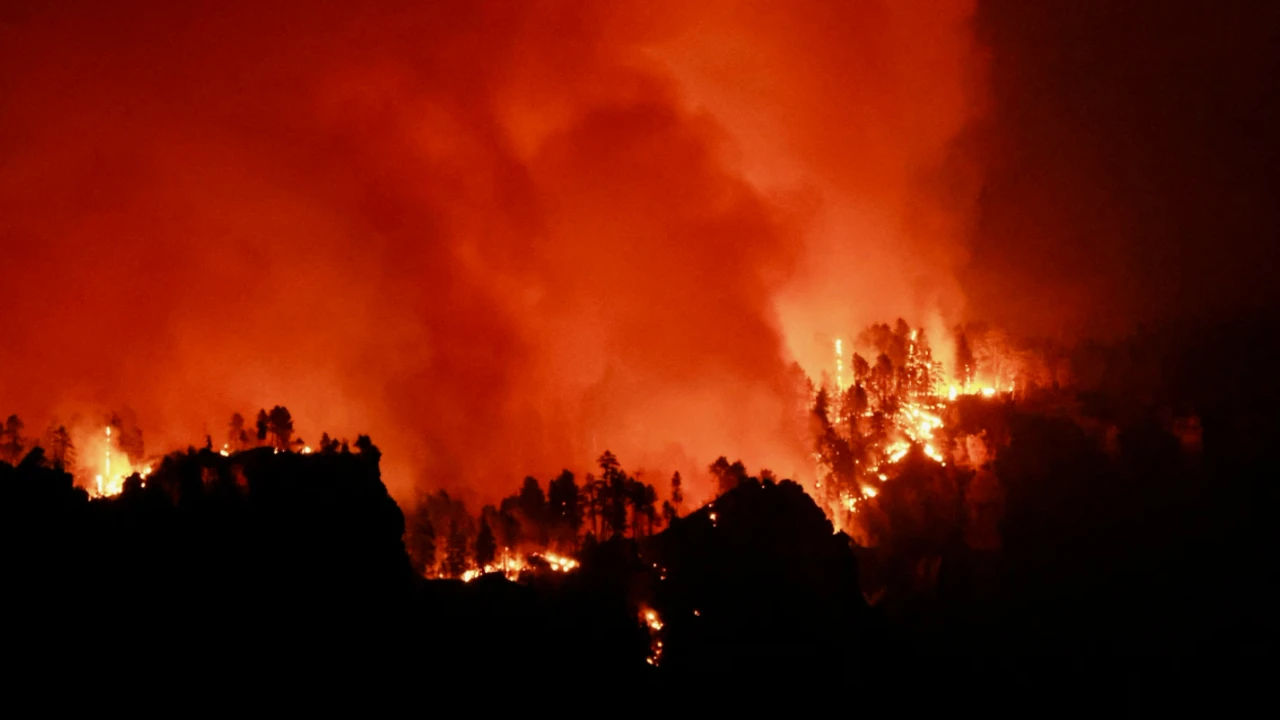 Paris büyüklüğünde yangın: Ülke kül oluyor!
