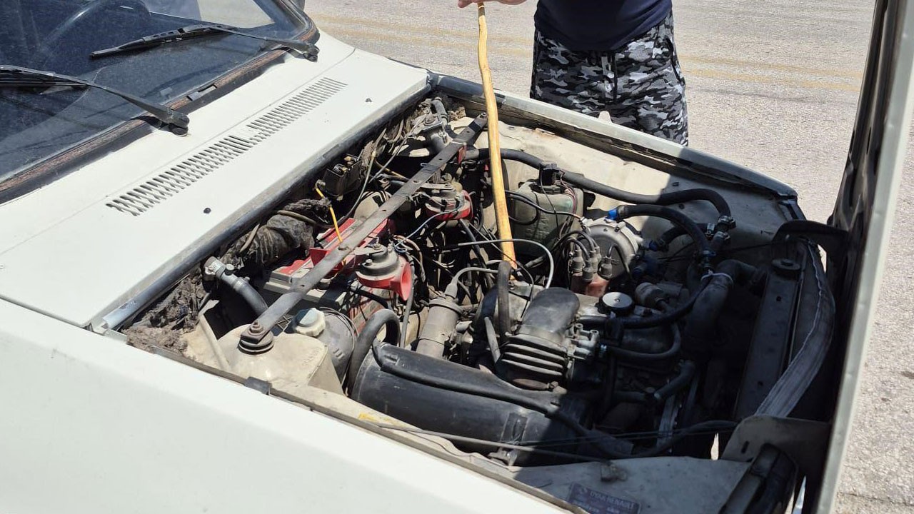 Park halindeki araçtan yılanı böyle çıkardı