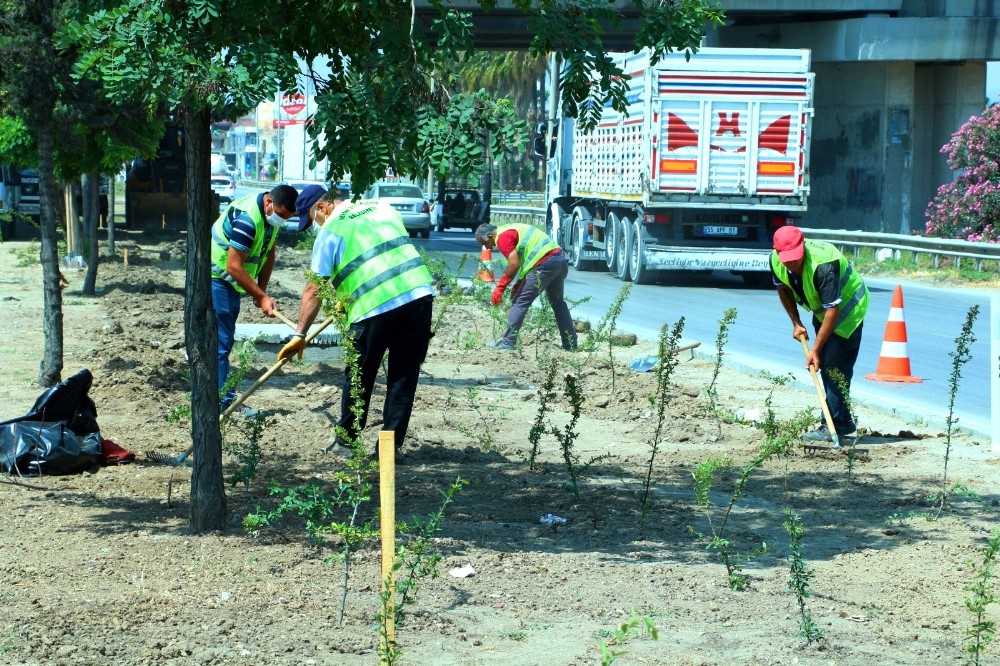 Park ve bahçelerdeki çalışmalar hızlandı 