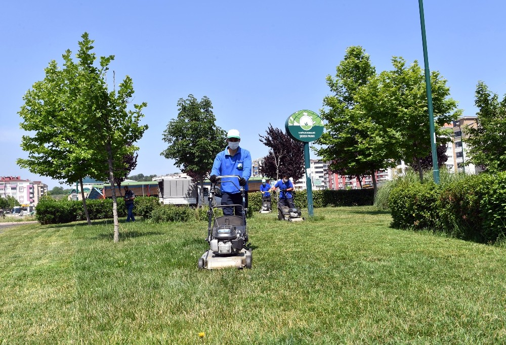 Park ve bahçelere bakım 