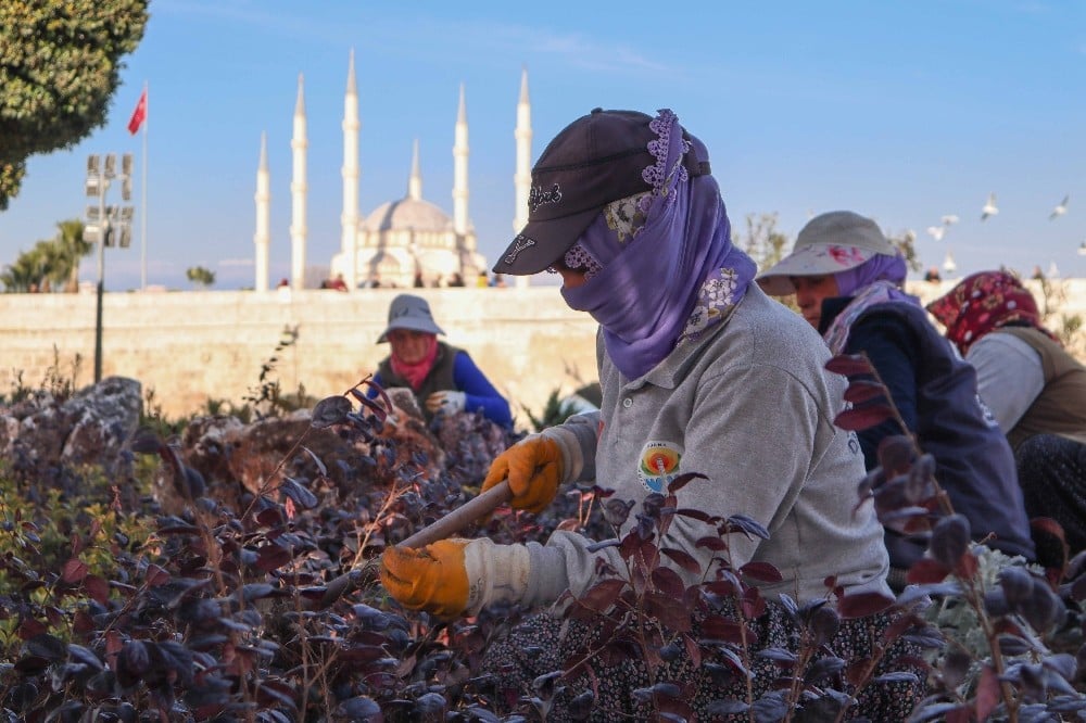 Parklarda bakım ve çiçeklendirme çalışması 