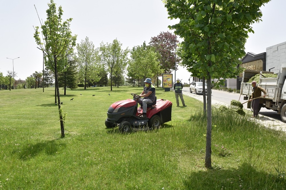 Parklarda çim biçme çalışması 