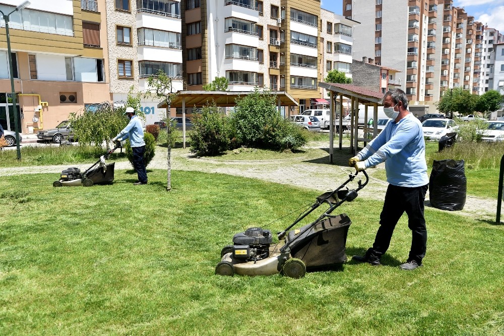 Parklarda çim biçme çalışması 