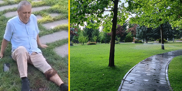 Parkta dinlenmek isteyen adama köpek saldırdı
