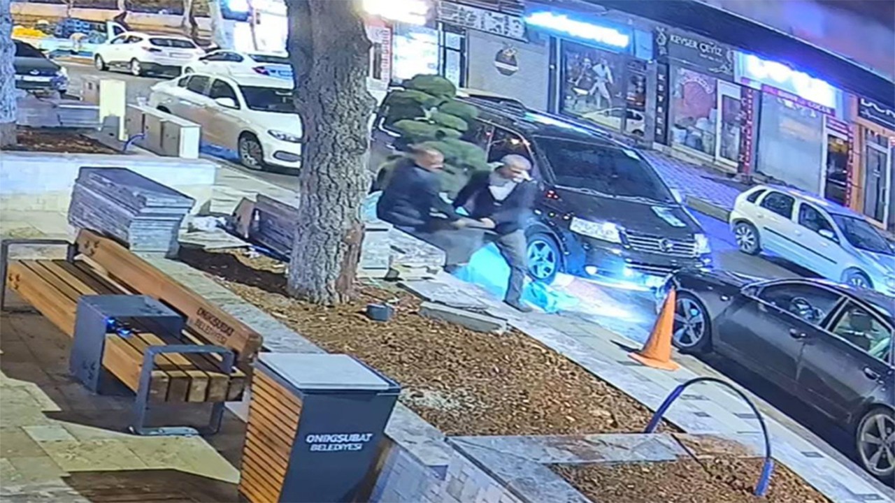 Parktaki ağacı çalıp kaçtılar