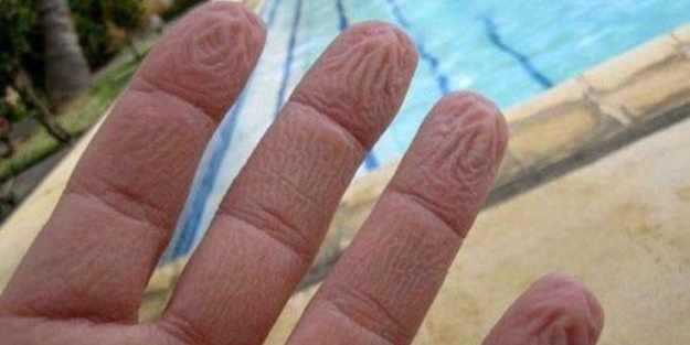 Parmaklar suda neden buruşur?