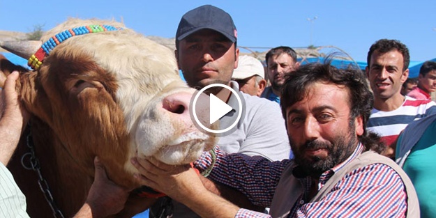 'Paşa' ile selfie 5 TL