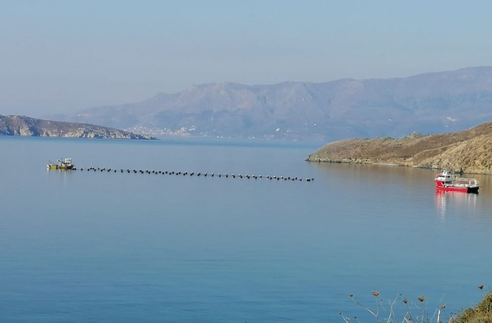 Paşalimanı’ndaki midye çiftliğinin ruhsatı iptal edildi 