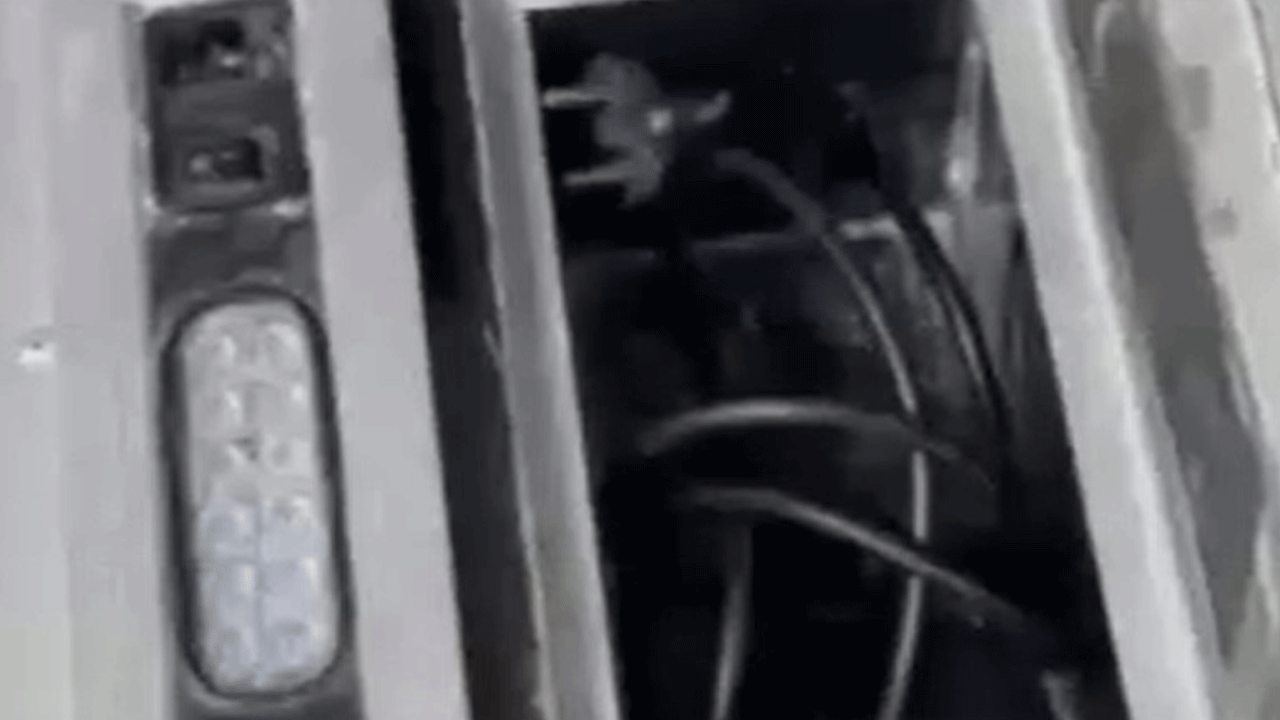 Pasaportu da sahteymiş! Turistin valizinden çıkanlar şok etti!