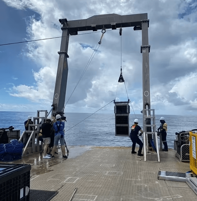 Pasifik'in dibinde bulundu! Araştırmacılar yaptıkları incelemeden sonra hemen dünyaya büyük haberi verdi! Böyle bir şeye ilk defa tanık oldular