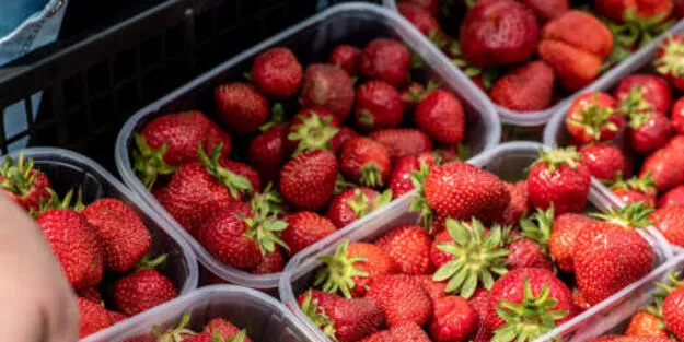 Pastada da seviyoruz, salatada da! Çileğe bunu yapmadan önce sakın yemeyin: Bile bile zehirlenmeyin! Püf noktaları