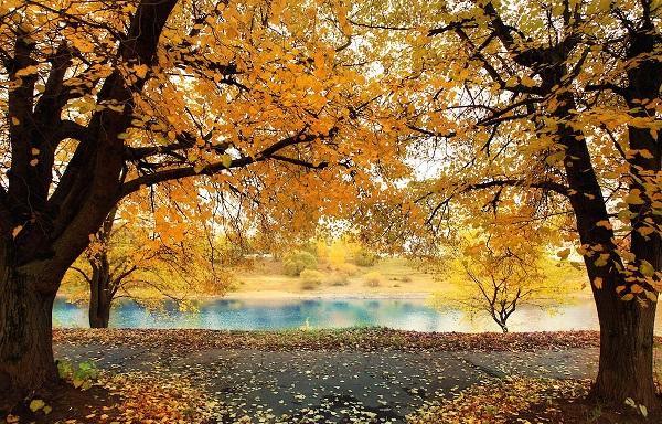 Pastırma sıcağı ne anlama geliyor? Pastırma sıcakları ne zaman başlayacak?