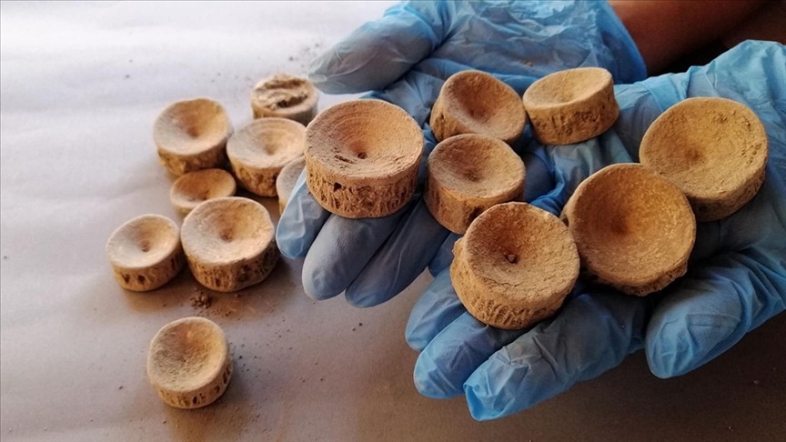 Patara kazı çalışmalarında köpekbalığı ve vatoza ait omurgalar tespit edildi