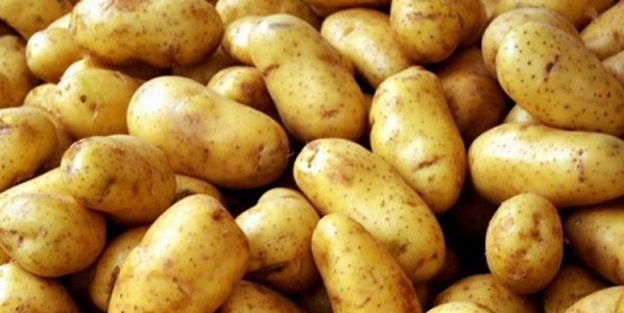 Patates ihracatı için teşvik bekleniyor