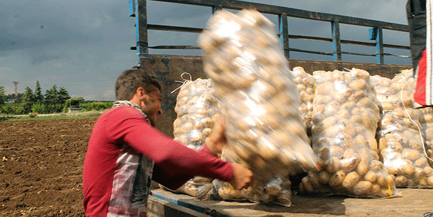Patates ve soğanda büyük skandal! Nerede sakladıkları belli oldu