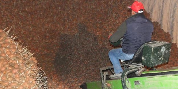 35 kuruşa bile alıcısı yok!