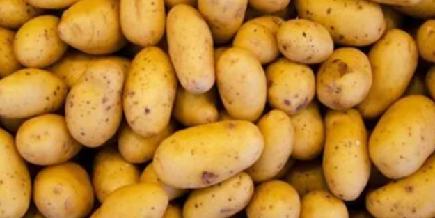 Patateslerin bulunduğu alana o çaydan koyarsanız bakın ne oluyor! Hemen yapın