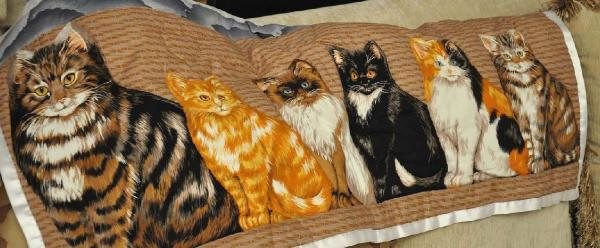 Patchwork' Yaparak Hayata Tutundu