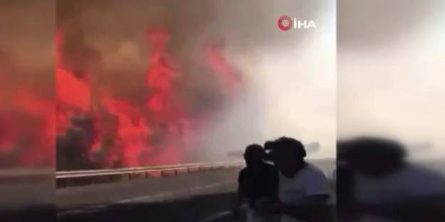 Patlayan kozalak alevleri yükseltti! Tehlikenin boyutu böyle görüntülendi
