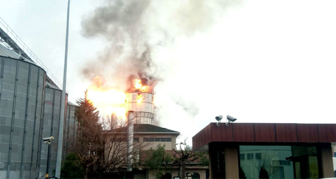 Patlayan silo alev topuna döndü