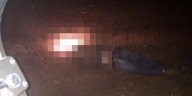 Patlayıcı tuzaklayan PKK'lı terörist indirildi