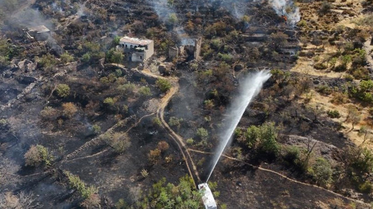Patlıcan közlerken ormanı yaktı