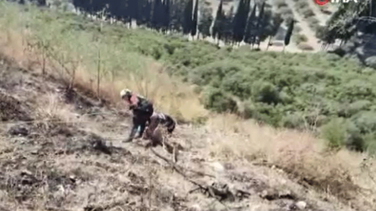 Patlıcan közleyen öğretmen 25 metrelik uçurumdan yuvarlandı: Ağır yaralı kurtarıldı