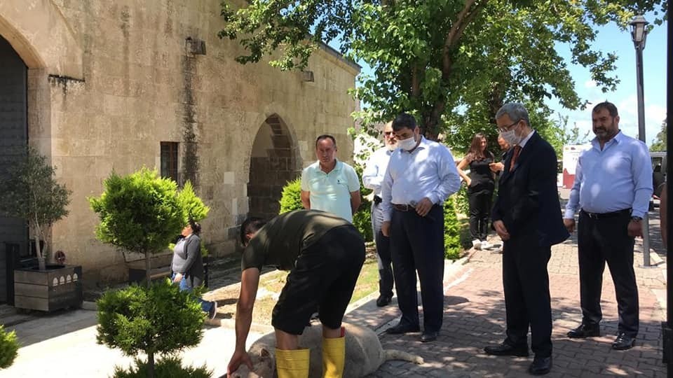 Payas’ta Cuma namazı öncesi şükür kurbanı kesildi 