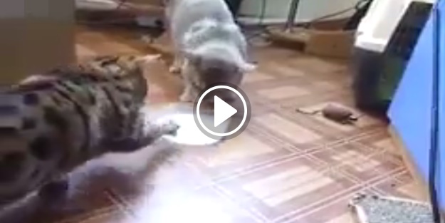 Paylaşmak bu kadar mı güzel olur?