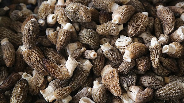 Pazarda kilosu tam 1000 TL